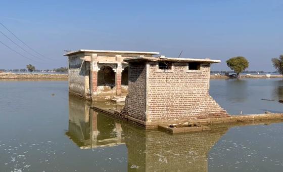 पाकिस्तान: बाढ़ से 700 से अधिक लोगों की मौत, बहुत से घर व फ़सलें तबाह